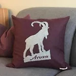 Derby 25 Apartment Arosa