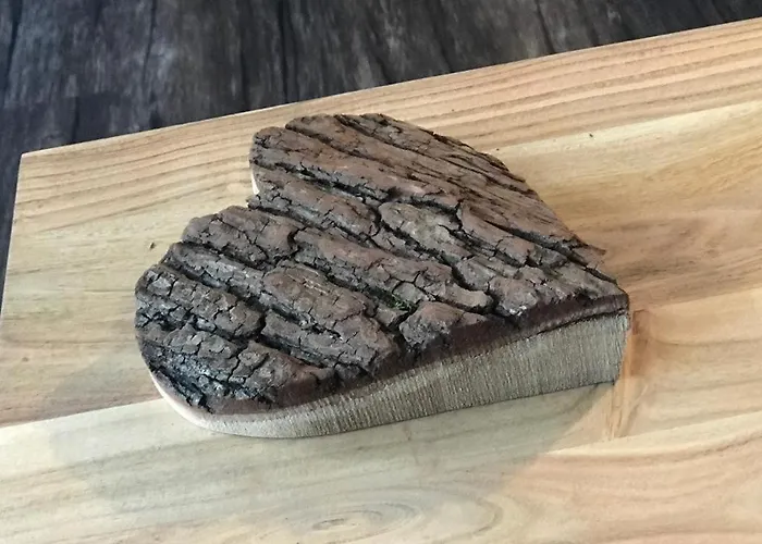 Apartmán Derby 25 *